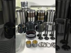 Marque DAILY REFINING