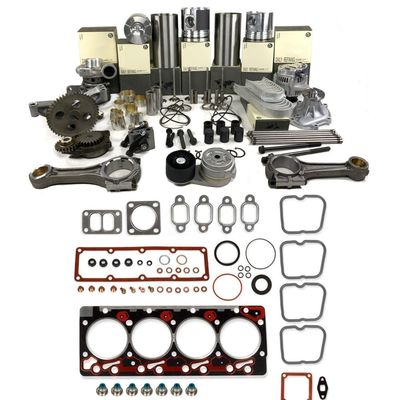 3056 kit de révision et de reconstruction du moteur pour pièces de chats Holt